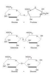 Why Sucrose Is A Non Reducing Sugar | Definition | Structure | Invert Sugar