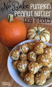 Easy No Bake Peanut Butter Pumpkin Dog Treats Dog Biscuit Recipes Easy Dog Treats Homemade Dog Food