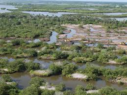 Imm is based on ecological, economic and social criteria and integrates multidisciplinary methodologies into pest management. Restoration Of Dragline Ditched Coastal Wetlands In Northeast Florida Atlantic Coastal Fish Habitat Partnership
