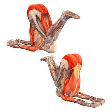 Easy Plow Pose Purva Halasana Yoga Poses Poses De Ioga Treinos De Ioga Exercicios De Yoga