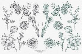 Check spelling or type a new query. Hand Sketch Flowers Bundle Clipart Pngs By Tommy And Tilly Design Thehungryjpeg Com