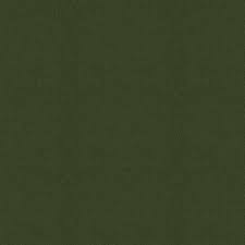 Image result for Hunter Green 1972 Audi