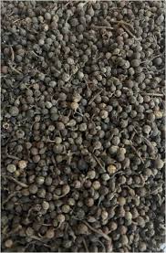 Image result for Piper guineense