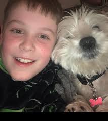 Hi all! I just wanted to introduce myself and share a photo that I took  This is Millie George is the Westie