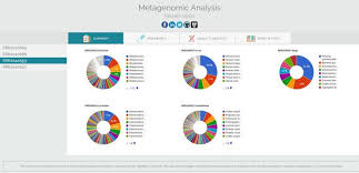 html report summary section a pie chart is presented for