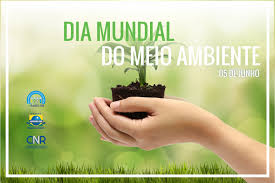 A restauração de ecossistemas pode assumir várias formas: Rares Nr Comemora O Dia Mundial Do Meio Ambiente Rede Ambiental E De Responsabilidade Social