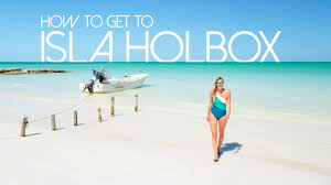 Flamingos wading in shallow lagoons at sunset and pelicans perched over the sea on silvery. How To Get To Holbox In Less Than 2 Hours Ferry Flights Ground Transport