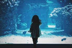 The adoption process, sometimes lengthy, will take patience, but the outcome will be a wonderful new addition to your family! Adoption Of Children In Malaysia Koo Chin Nam Co
