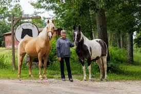 Westfall Horsemanship Teaching Your Horse To Bow With Stacy Westfall | Ebay