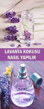 Lavanta Kokusu Nasil Yapilir Pratik Bilgiler Lavanta Dogal Bilgi
