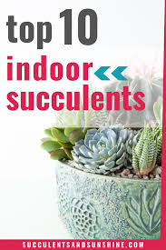 Grab Your Free Guide To The Top 10 Indoor Succulents In 2020 Succulents Indoor Succulents Succulent Care