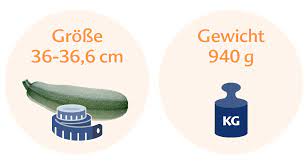 Ssw 27 Das Passiert In Der 27 Schwangerschaftswoche Hipp