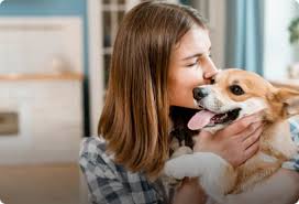 Beau Champ（モーリシャス）のペット可ホテル