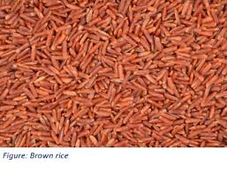 Image result for Oryza