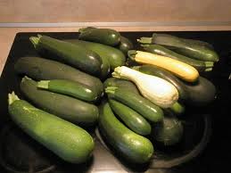 Maybe you would like to learn more about one of these? Black Beauty Zucchini High Yields Good For Freezing