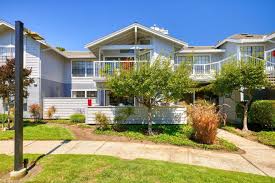 Image result for Caledonia Blue 1989 Vista