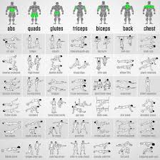 Gym Exercise Chart Day By Day Www Bedowntowndaytona Com