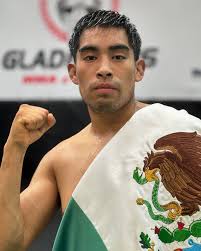 MMA Michoacán
