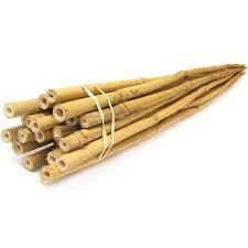 Check spelling or type a new query. Bamboo Stakes