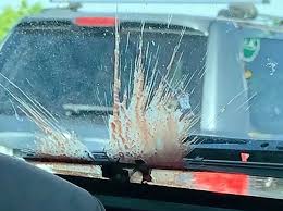 Make a paste of baking soda and water and use to clean your car. How To Clean Your Car From Cicada Splatters The Washington Post