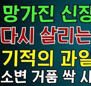 알록달록한 디저트의 검은 그늘… 경북도 타르색소 사용실태 조사 ...