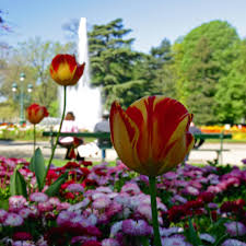 Centre Ville Toulouse Fr Parc Et Jardin Jardin Royal Plante Jardin