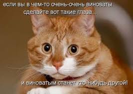 Резултат с изображение за „шутки“
