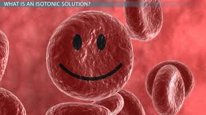 What are some examples of isotonic hypertonic and hypotonic solutions. Isotonic Solution Definition Example Video Lesson Transcript Study Com