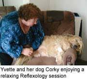 Canine Reflexology Animal Wellness Guide