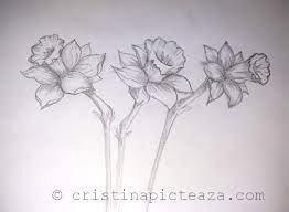 See more ideas about desen cu flori, flori, picturi. Daffodil Pencil Drawing Step By Step Tutorial Cristina Is Painting