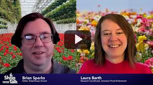 Greenhouse Diseases: Phytophthora