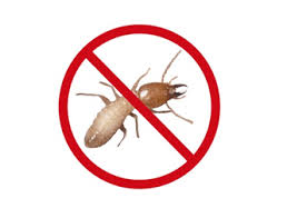 Check spelling or type a new query. Termites Les Detecter Se Proteger Et Les Eloigner De Votre Maison