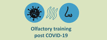 Image result for Olfactory Training