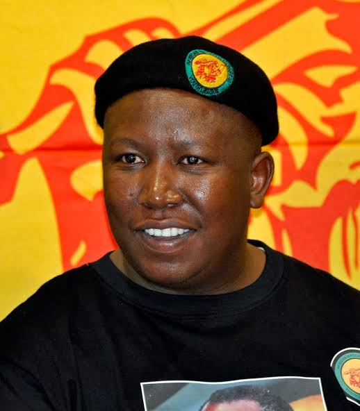 Julius Malema | Biography, Age, EFF, & Facts | Britannica