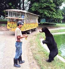 The entrance to a'famosa safari wonderland (formerly a'famosa animal world) is located right next door to the water park. A Famosa Resort Melaka 9 Fun Things To Do You Don T Want To Miss