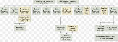 His father was carlo maria di buonaparte, and his mother, maria. Napoleonischen Kriegen Im Haus Der Familie Bonaparte Ahnenforschung Genealogie Familie Png Herunterladen 1094 377 Kostenlos Transparent Text Png Herunterladen