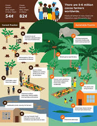 Pin By Lily Lee On Info Graphics Sustainable Practices Infographic Ecosystems