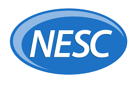 Nonprofit Consulting | Nonprofit Organizations | National Executive Service  Corps | NESC