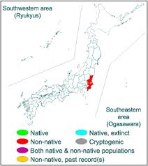 Rivers of japan are characterized by their relatively short lengths and considerably steep gradients due to the narrow and mountainous topography of 17.11.2020 · tokyo and surroundings:rivers, lakes & canyons. Ctenopharyngodon Idella Invasive Species Of Japan