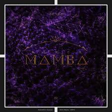 I'm the aespa there can't be two monochrome to colors this is evo, evolution. Aespa Black Mamba Album Cover Aespa