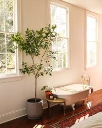 Look through restore clawfoot tub. Refurbishing A Disgusting Old Clawfoot Tub Probably This