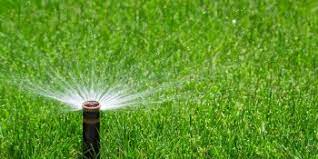 This has special significance in places with hot and dry weather conditions. Best Time To Water Lawn In Hot Weather Ryno Lawn Care Llc