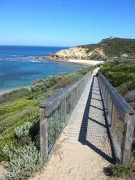 Walking Trails In The Mornington Peninsula National Park Www Lovethepen Com Au Melbourne Trip National Parks Trip National Parks