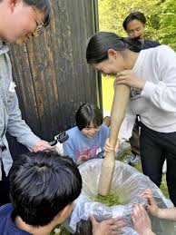 มะม่วงสด xxx