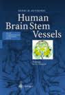 Yet, human brainstem physiology is poorly understood given the lack of suitable methodology. Duvernoy S Atlas Of The Human Brain Stem And Cerebellum High Field Mri Surface Anatomy Internal Structure Vascularization And 3 D Sectional Anatomy Thomas P Naidich Springer