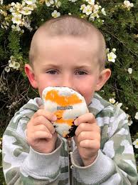 Found a beautiful rock at the International Friendship Gardens