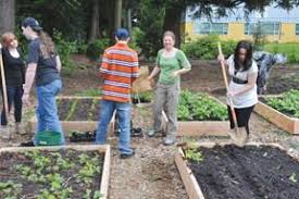 Growing supper at Fir Ridge Community Learning Center