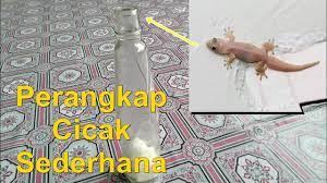 Cara Membuat Perangkap Cicak Sederhana Youtube Perangkap ajaib pembunuh cicak di rumah. youtube