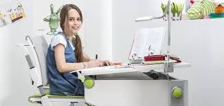 Der moll winner schreibtisch verfügt mitsamt zubehör wie alle anderen kindermöbel aus dem herstellerprogramm über eine fünf jährige qualitätsgarantie und ergänzend noch über eine fünfjährige. Moll Winner Kinderschreibtische Buro