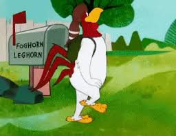 When asking a cat where he can find a. Foghorn Leg Znalezione Gify Gfycat